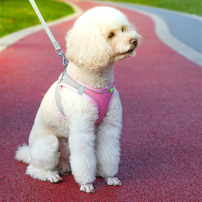 8644584a53d2507fd7e76f0e969d97bc